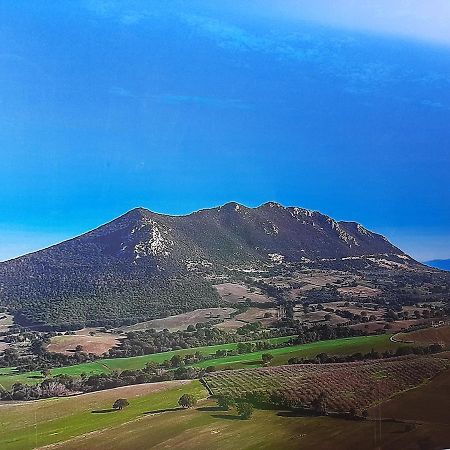 Poggio Della Roverella Country House Morlupo ภายนอก รูปภาพ