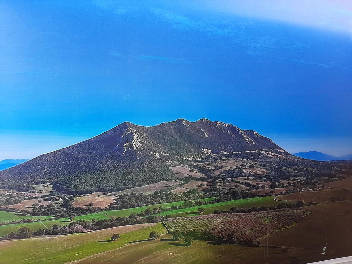Poggio Della Roverella Country House Morlupo ภายนอก รูปภาพ